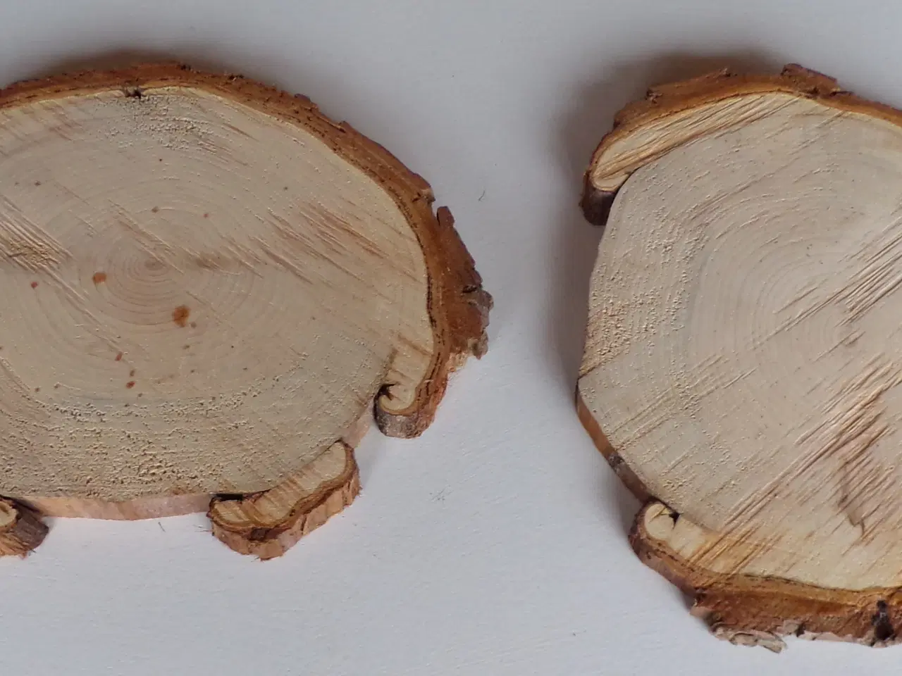 Billede 1 - Thuja træskiver 22 - 23 cm