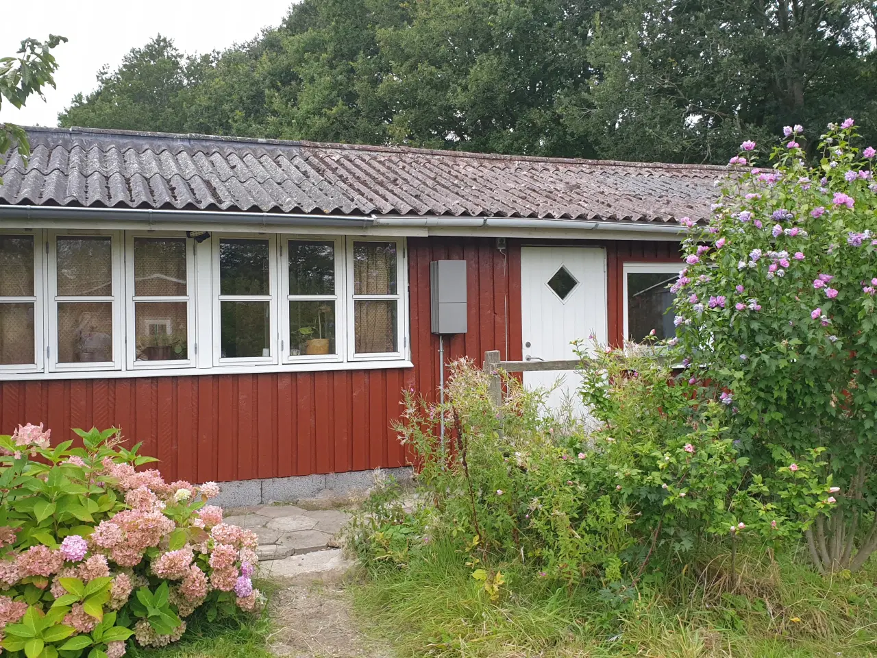 Billede 1 - Fin kolonihave til salg i Odense V