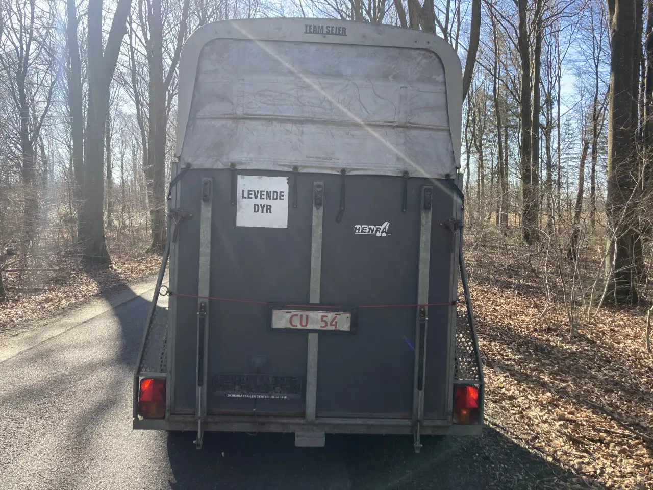 Billede 6 - Henra hestetrailer 