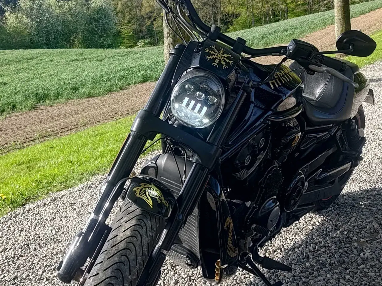 Billede 1 - Vrscdx Night Rod Special 2017 