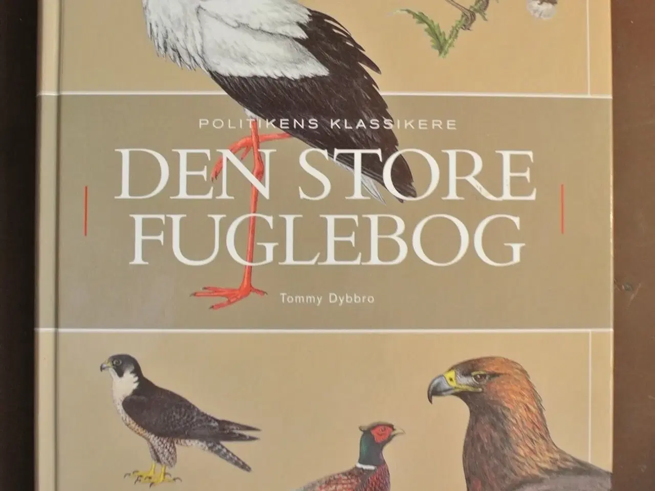 Billede 1 - den store fuglebog, af tommy dybbro. ill. af henni
