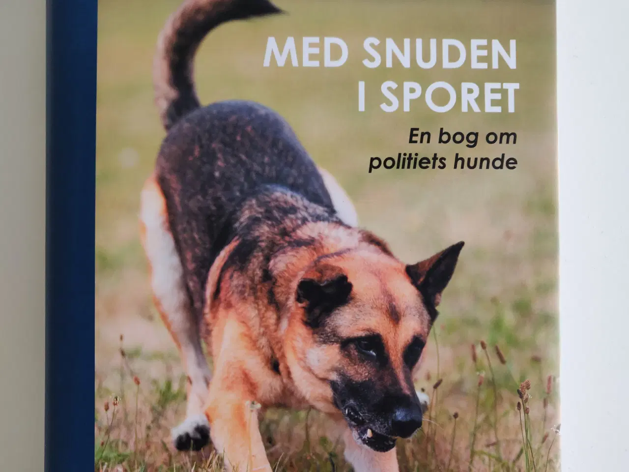 Billede 1 - Bog: med snuden i sporet