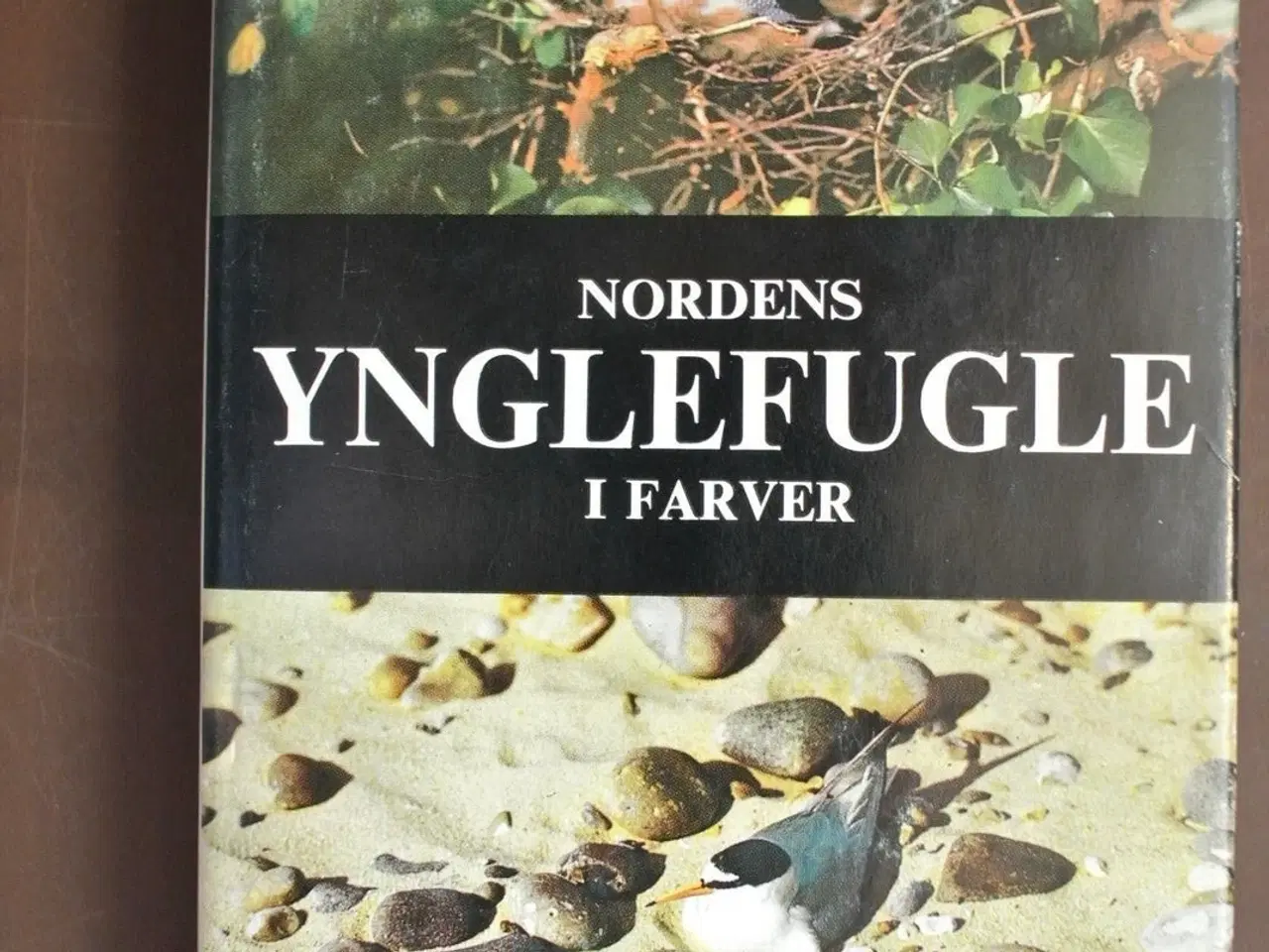 Billede 1 - nordens ynglefugle i farver, af finn salomonsen. f