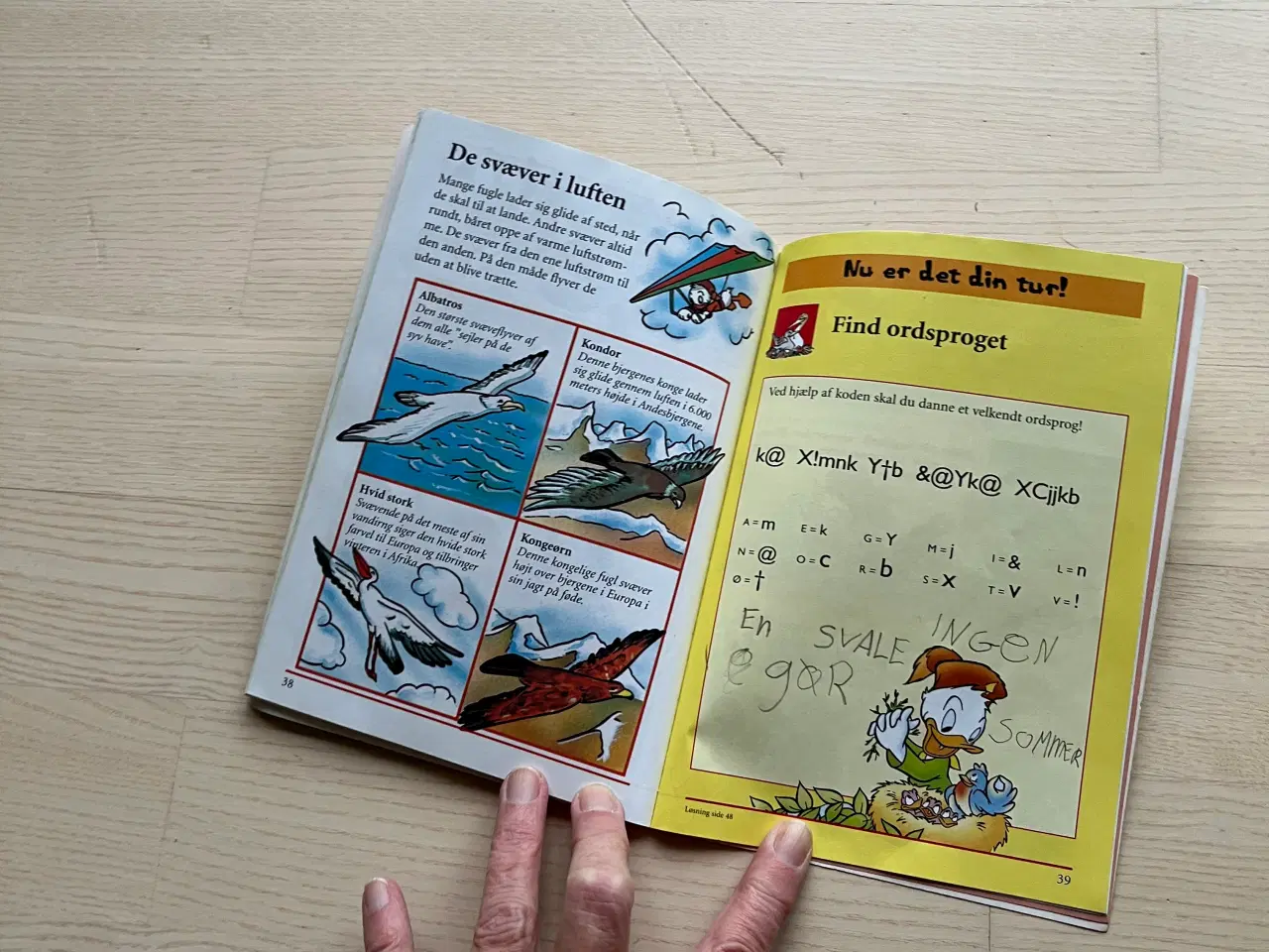 Billede 2 - Grønspætterne