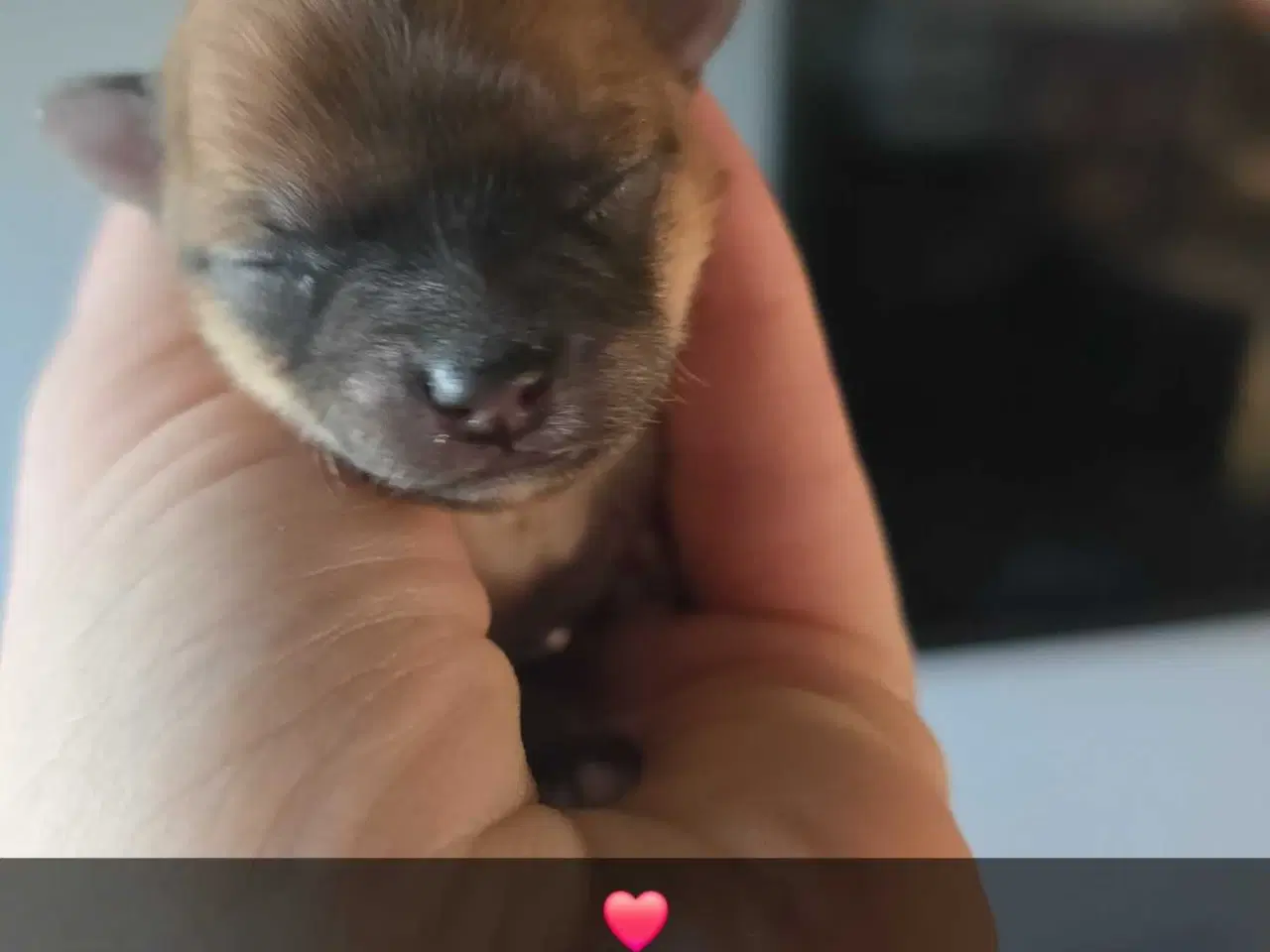 Billede 7 - 3 skønne piger