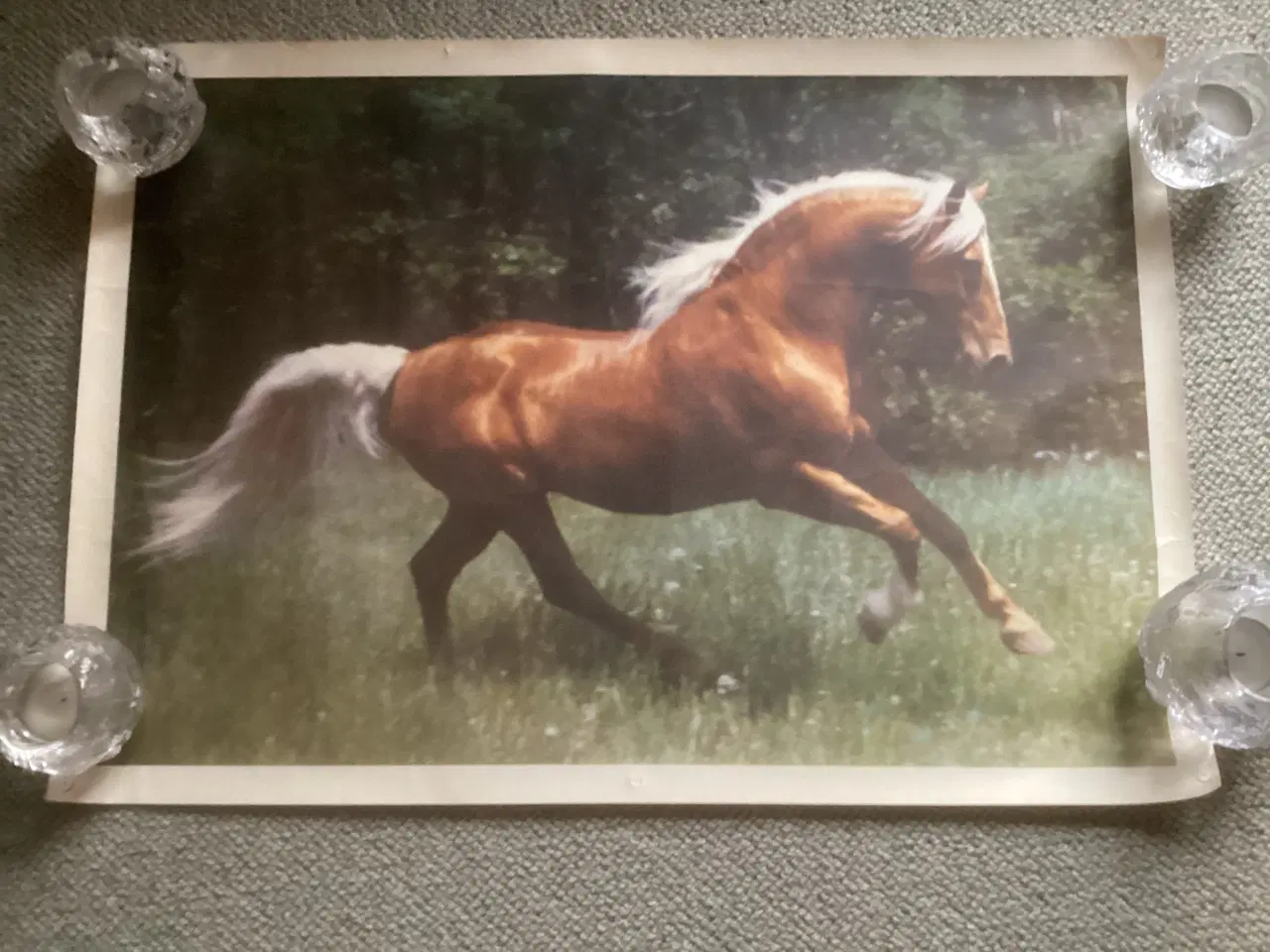 Billede 1 - Hesteplakat