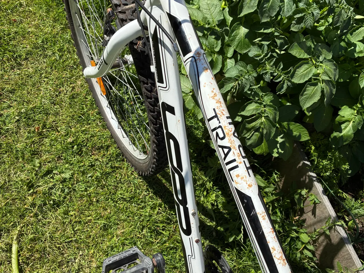 Billede 2 - Loop Mountainbike 26”