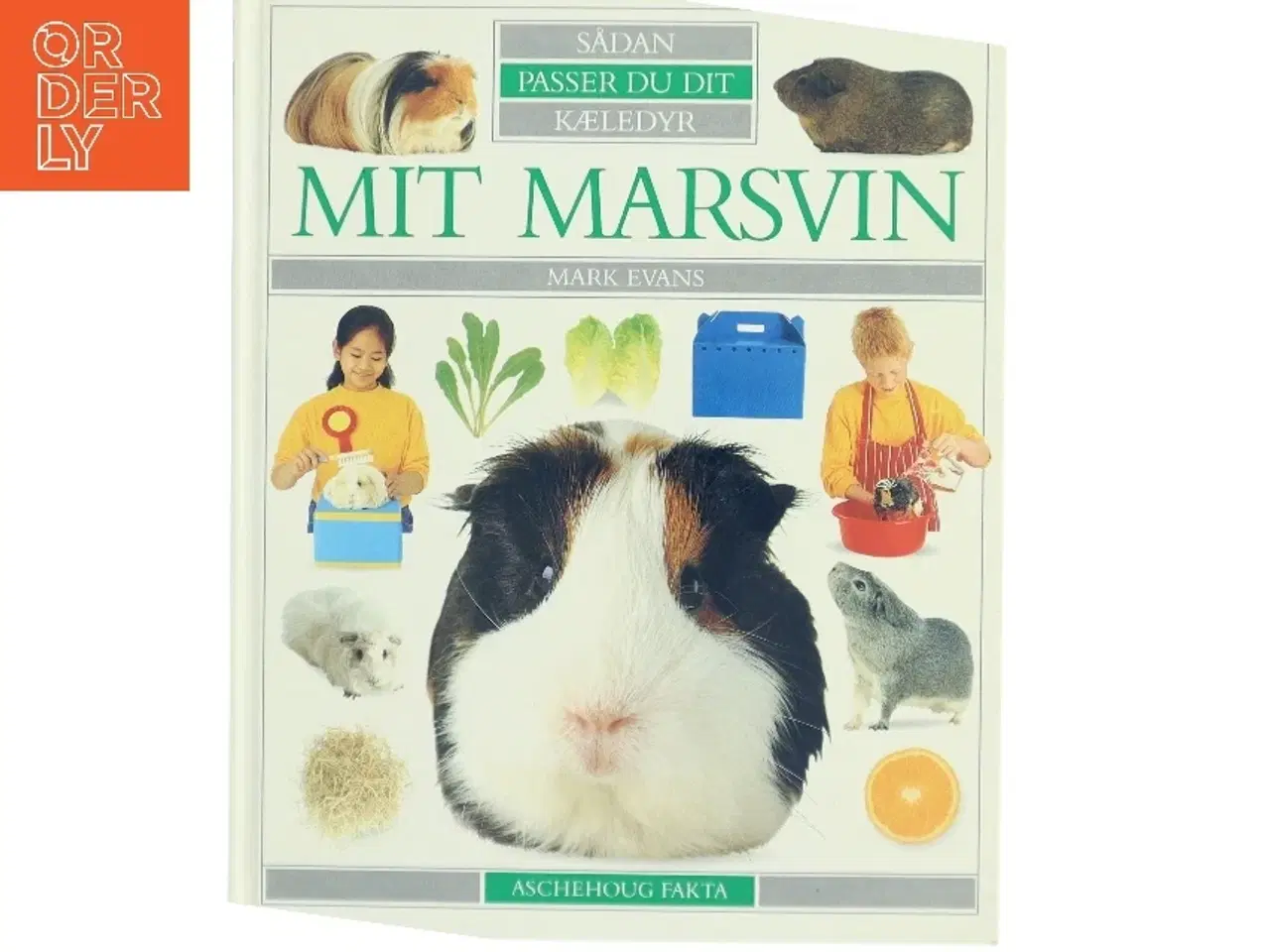 Billede 1 - Mit marsvin af Mark Evans (f. 1962) (Bog)
