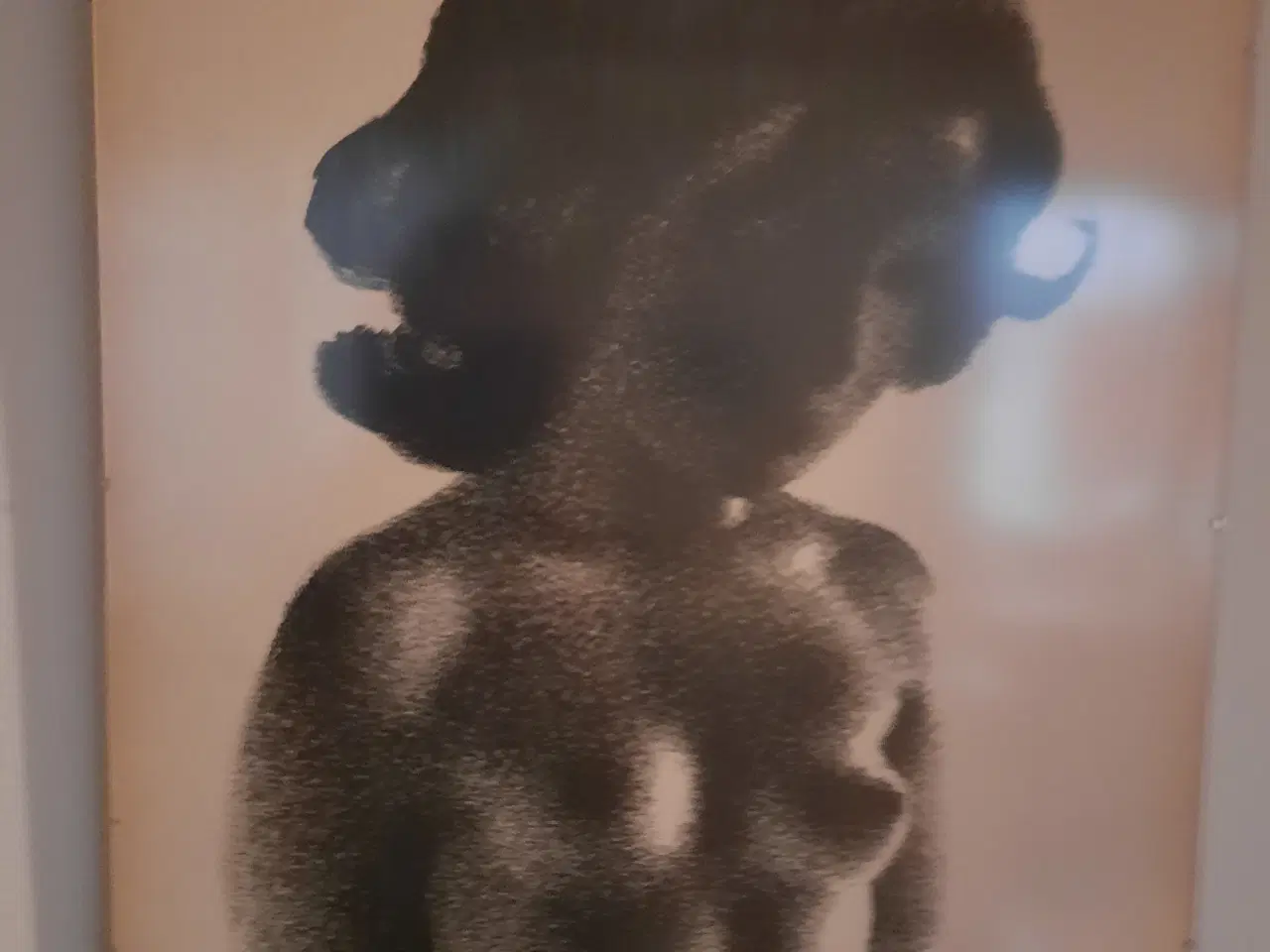 Billede 1 - Litografier af Sikker Hansen