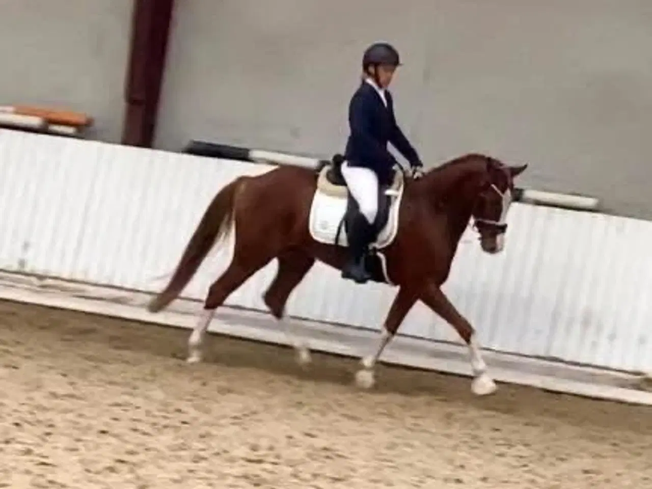 Billede 1 - Pony med Wow effekt