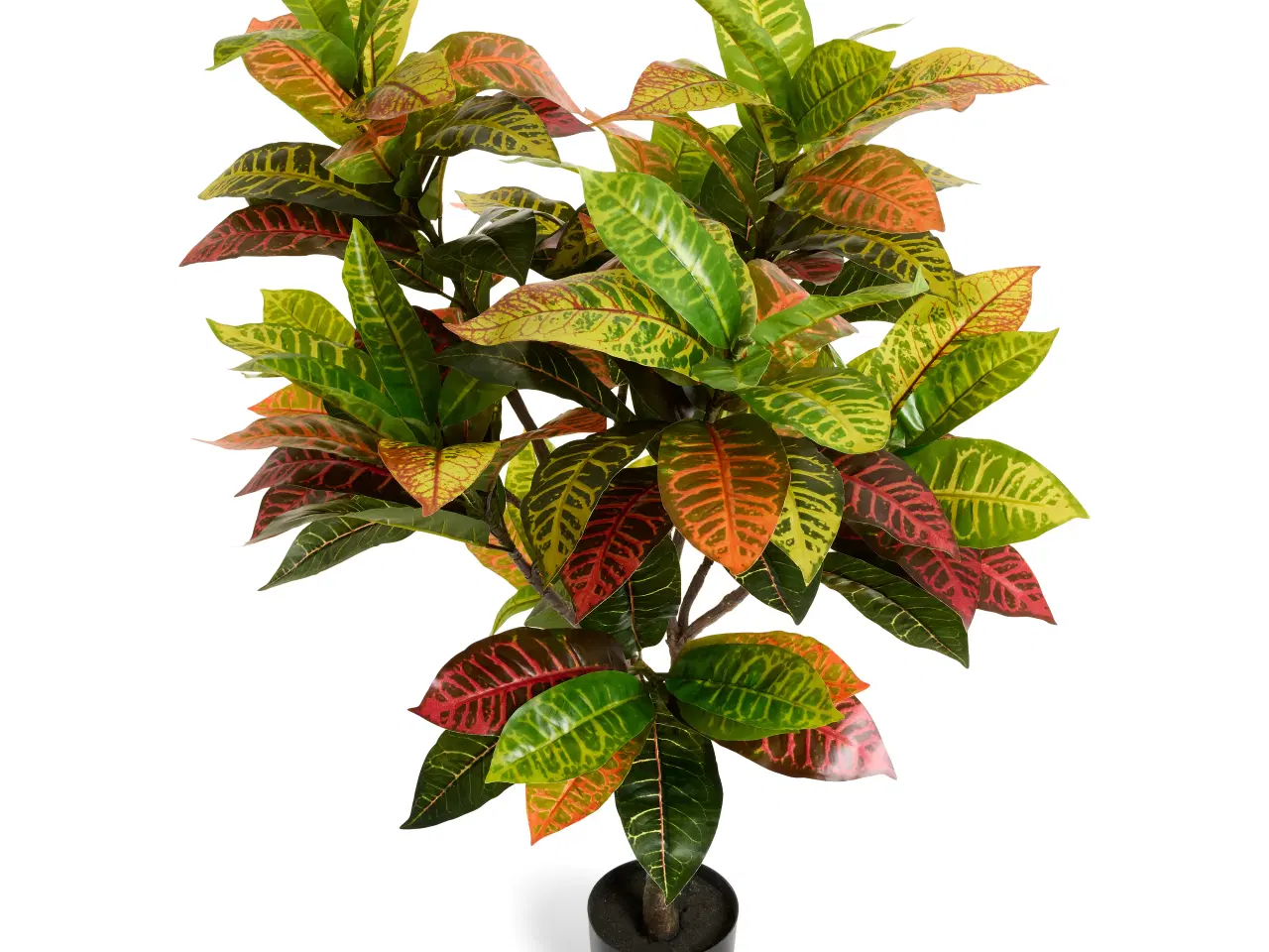 Billede 2 - Kunstig plante Croton 120 cm.
