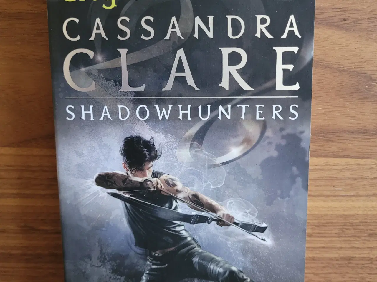 Billede 6 - The Mortal Instruments serien, Cassandra Clare