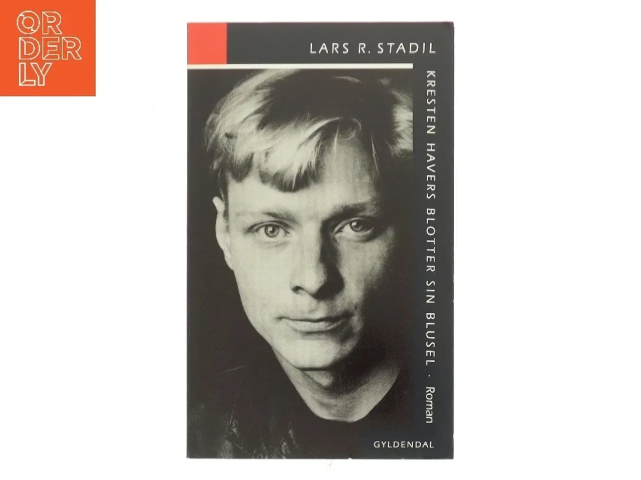 Billede 1 - Kresten Havers blotter sin blusel : roman af Lars R. Stadil (Bog)