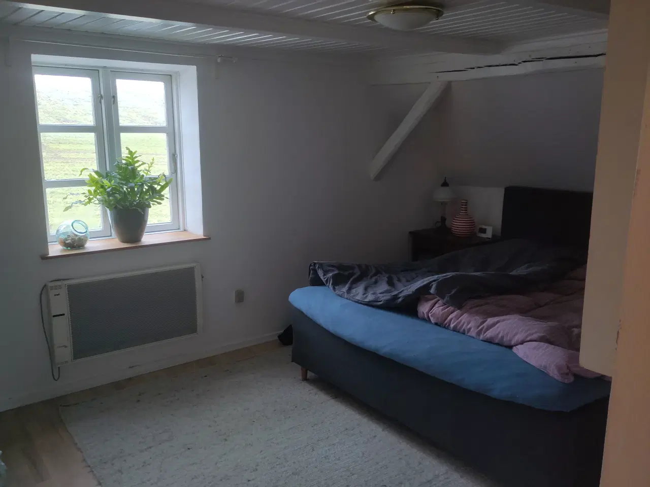 Billede 13 - Smukt hus til salg i naturskønne omgivelser