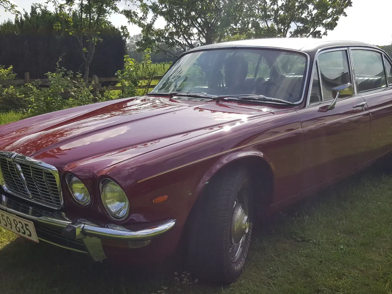 Billede 10 - Jaguar XJ6, nylakeret