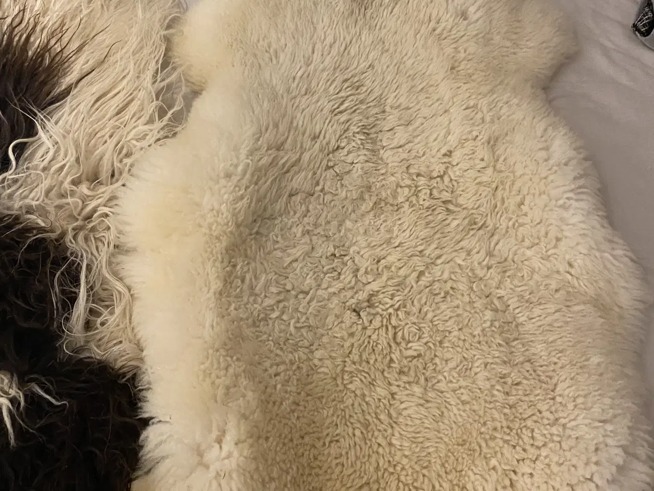 Billede 2 - 2 ægte skind 