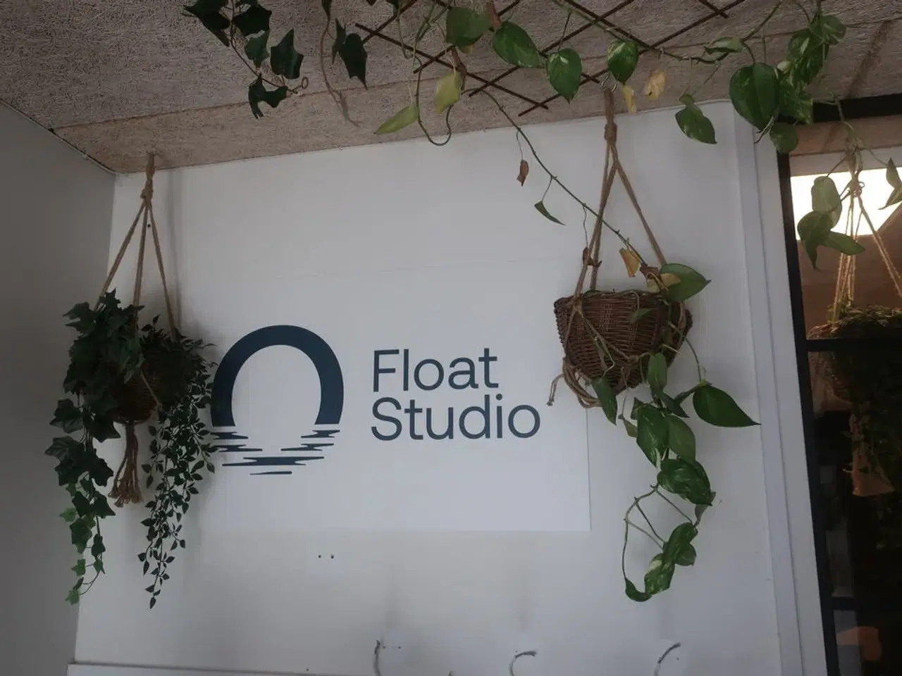 Billede 5 - Diverse planter i loftet m.m.