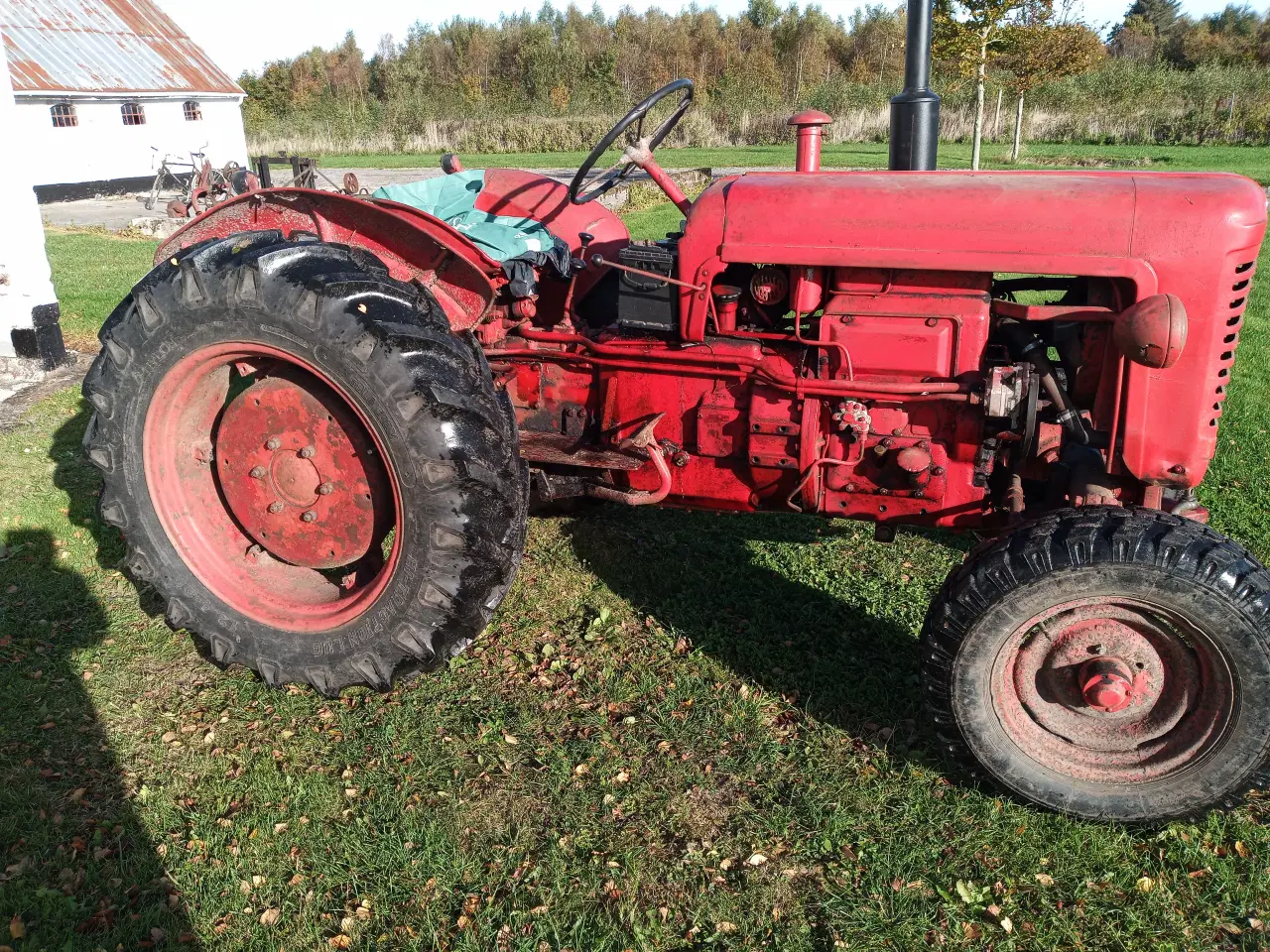 Billede 6 - Bukh 302 traktor