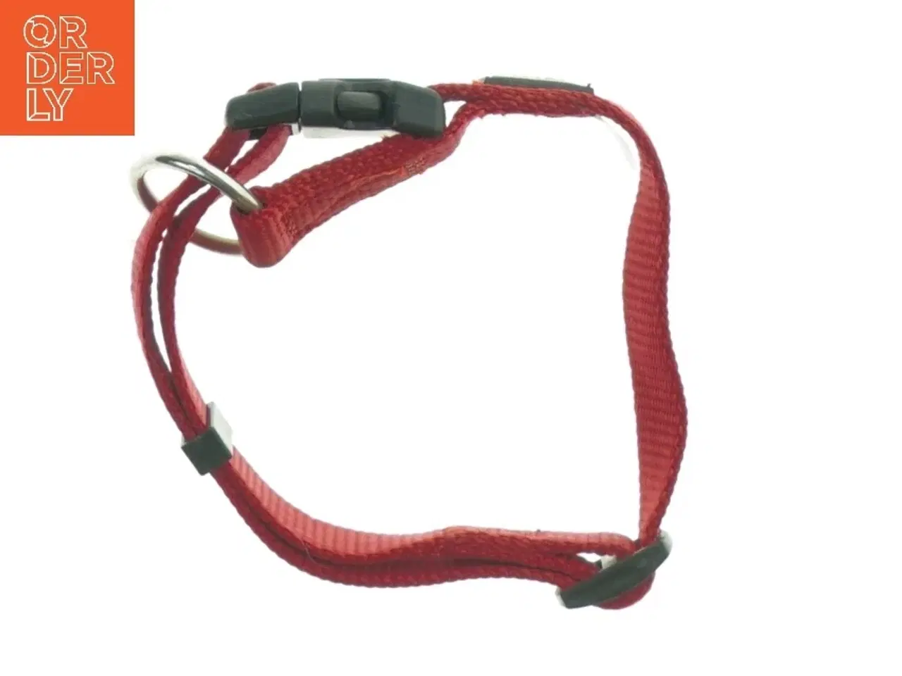 Billede 3 - Rød hundehalsbånd fra Anione (str. S)