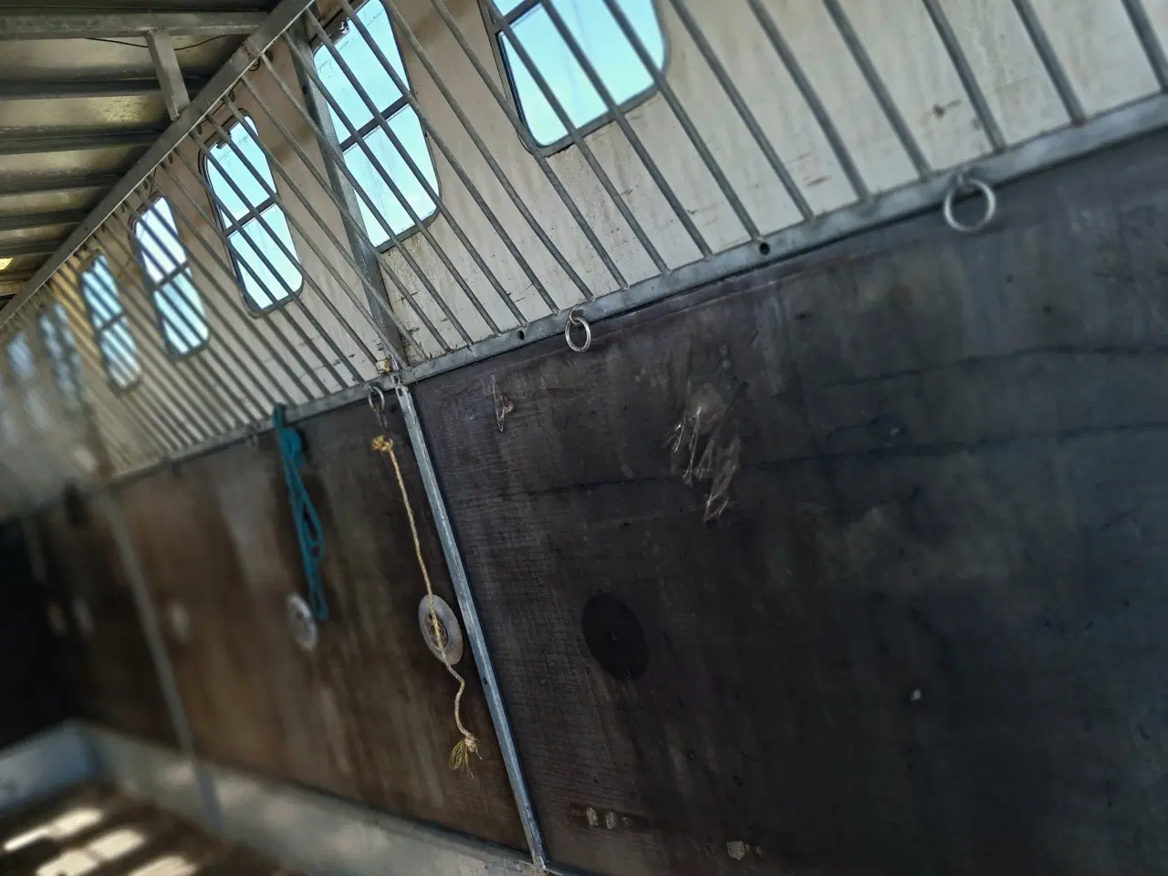 Billede 3 - Dyretransport anhænger