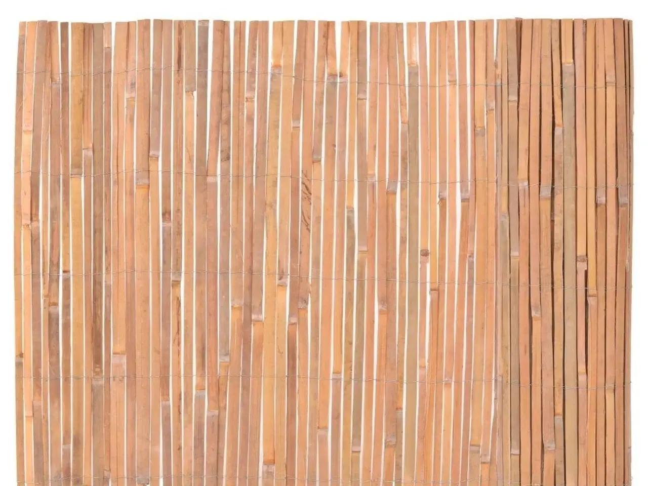 Billede 1 - Bambushegn 100 x 400 cm