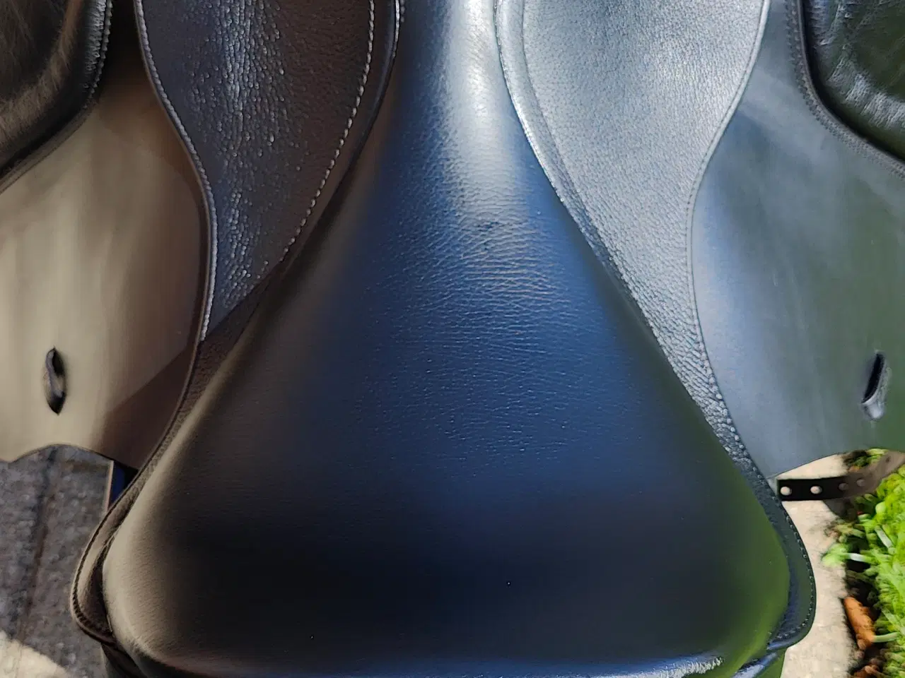 Billede 16 - Kent og Master 17 dressursadel