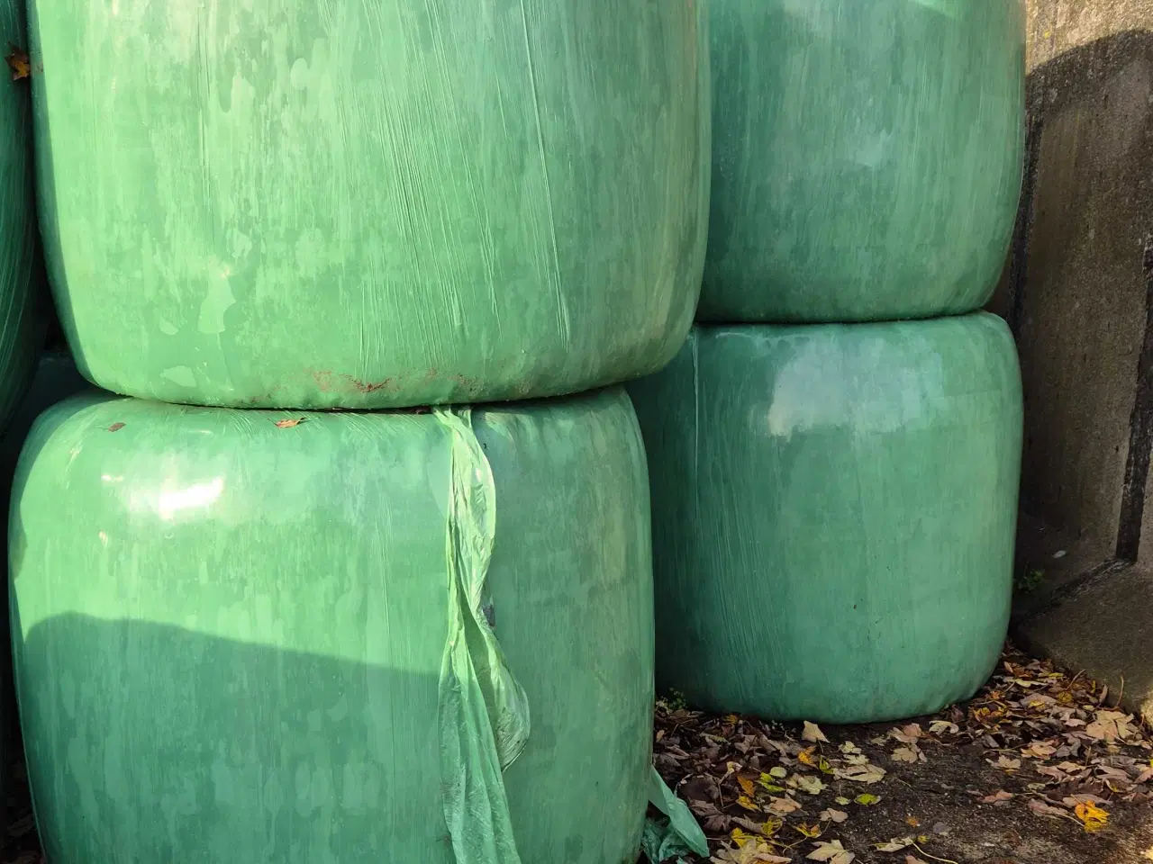 Billede 1 - Heste wrap