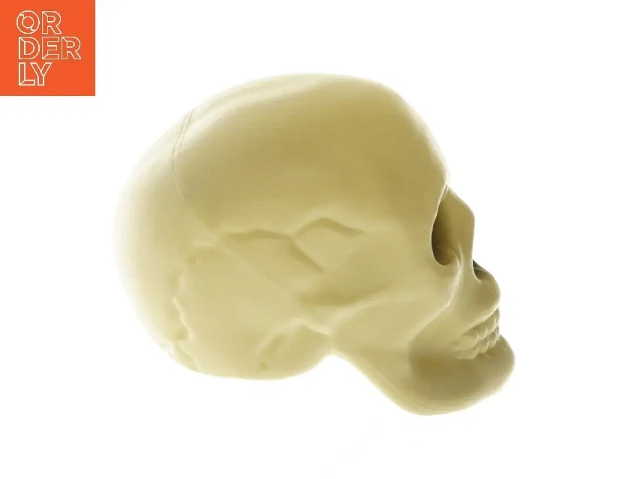 Billede 2 - Kranium(str. 17,5 cm) (str. 17,5 cm)