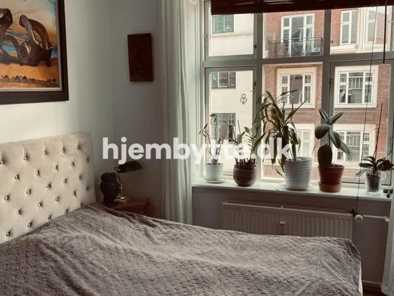 Billede 3 - Hjembytte - Husumgade