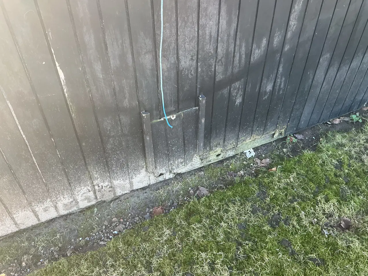 Billede 3 - Due/hønsehus ( gratis)