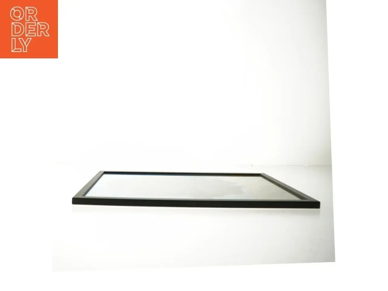 Billede 2 - Indrammet billede af et træ fra Posterland (str. 30x42 cm)