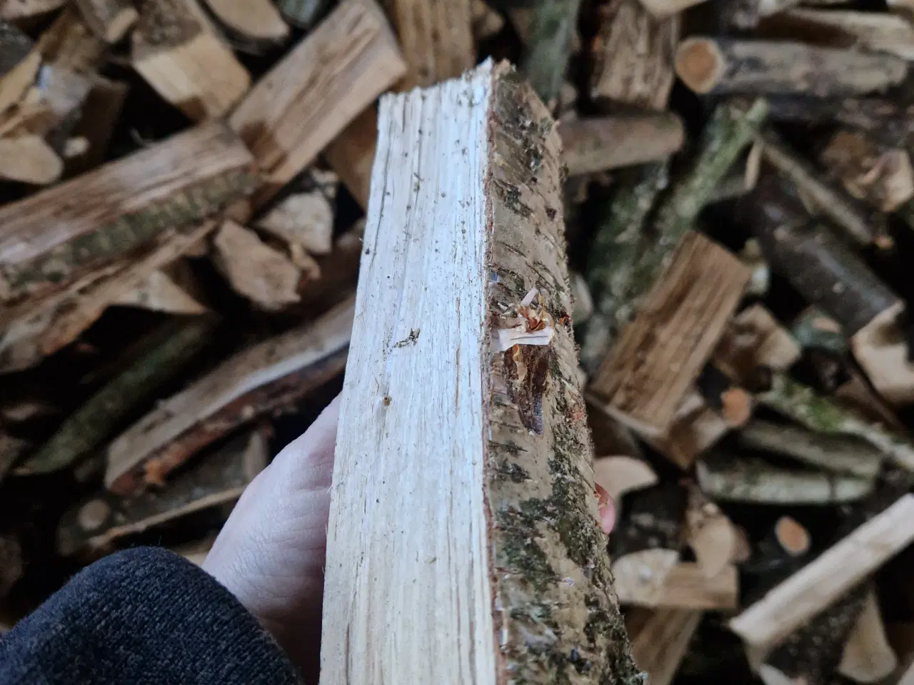 Billede 2 - Tørt kløvet birke træ