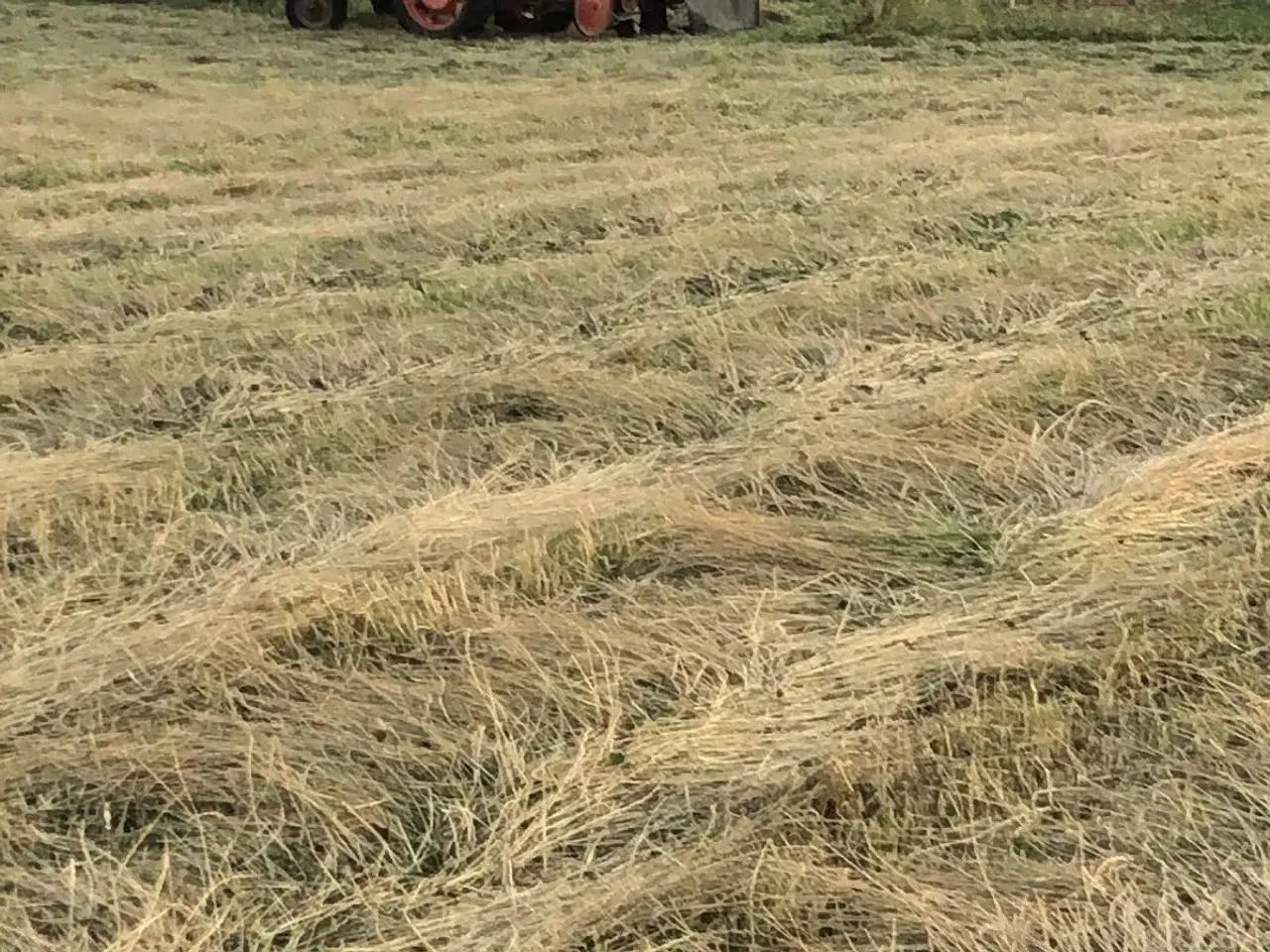 Billede 2 - Hø i små håndterbare baller