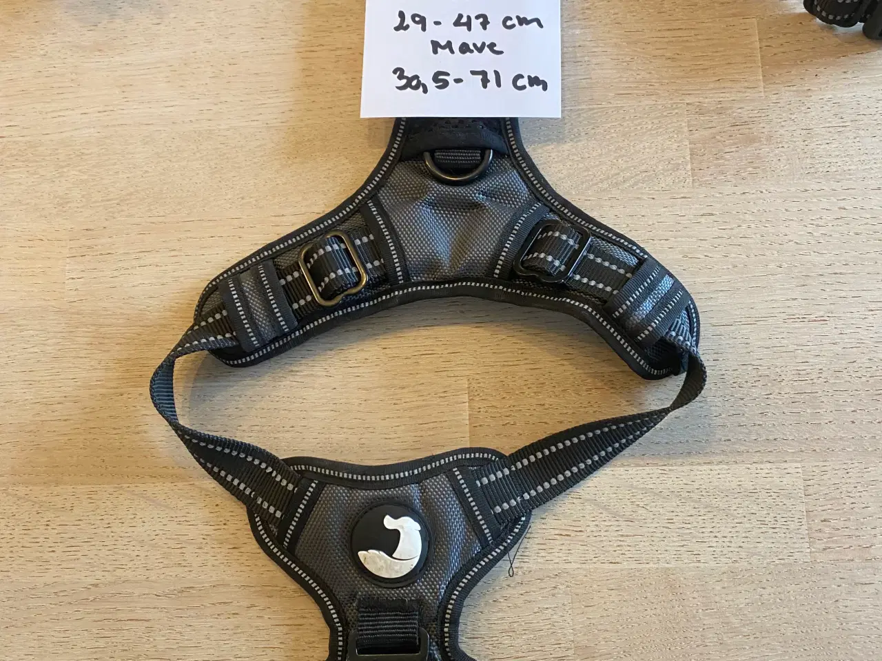 Billede 3 - Seler, flexlinie osv