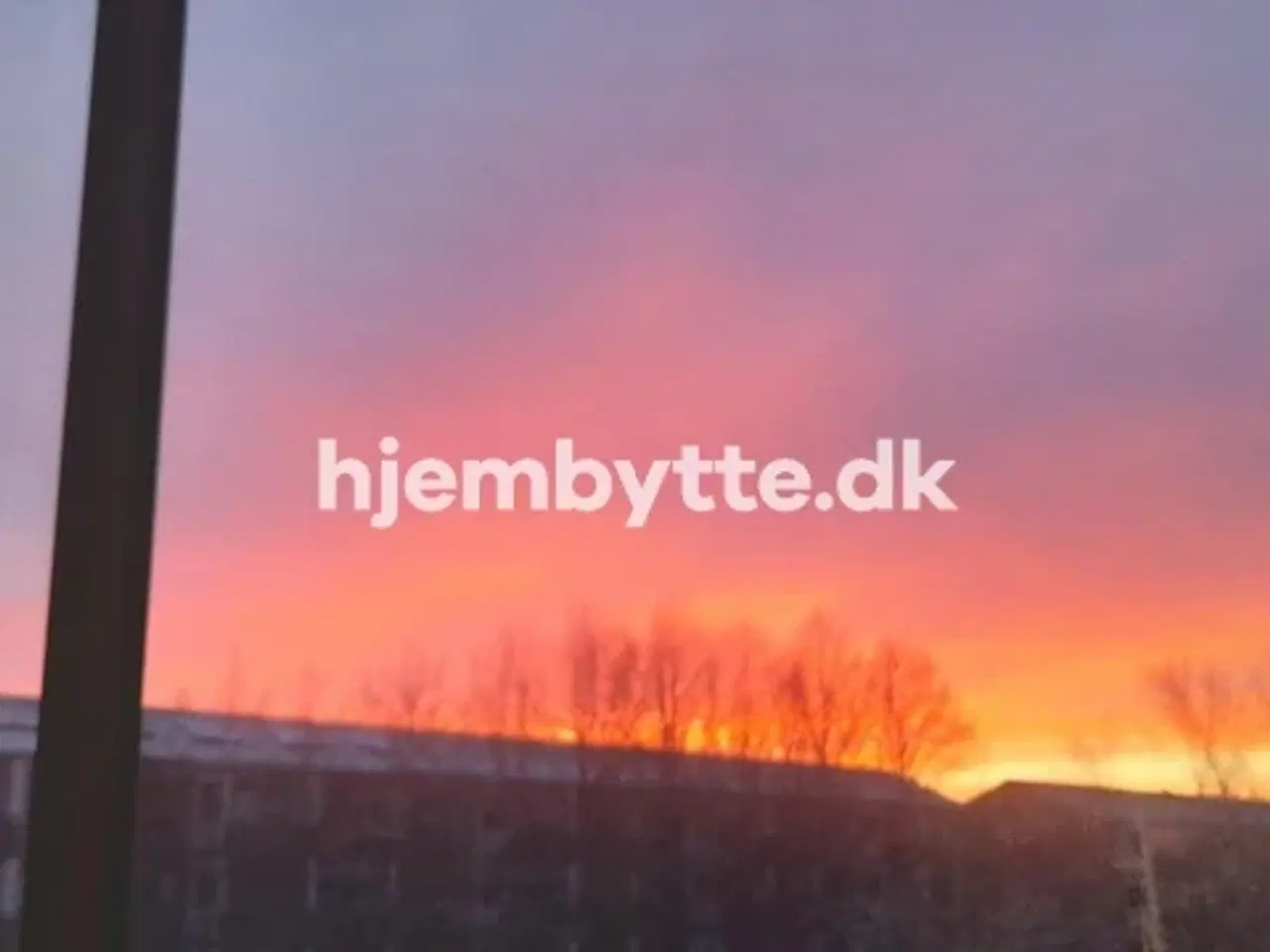 Billede 3 - Hjembytte - Sennepshaven