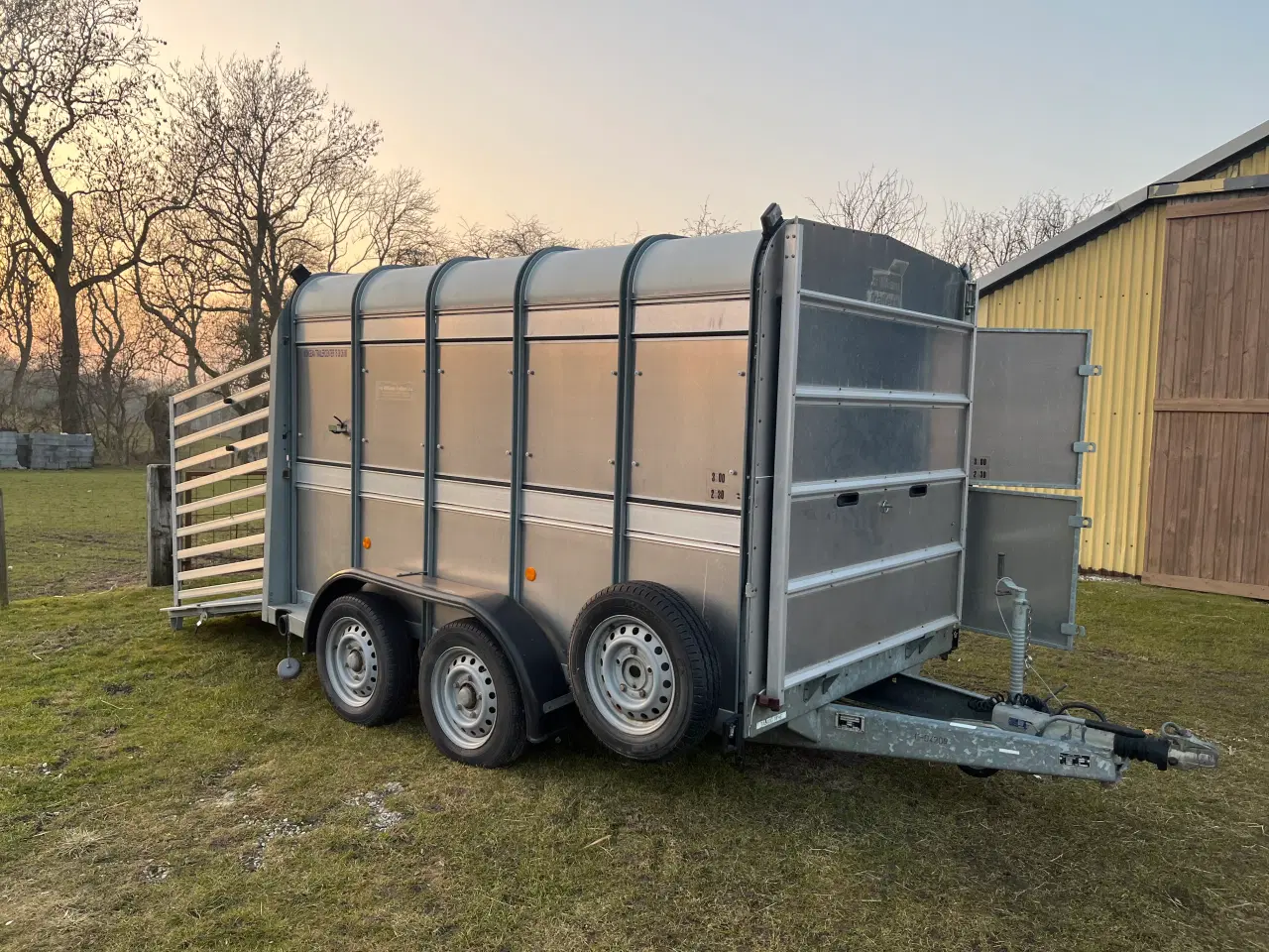 Billede 7 - Ifor Williams Trailer til gods-/husdyrtransport