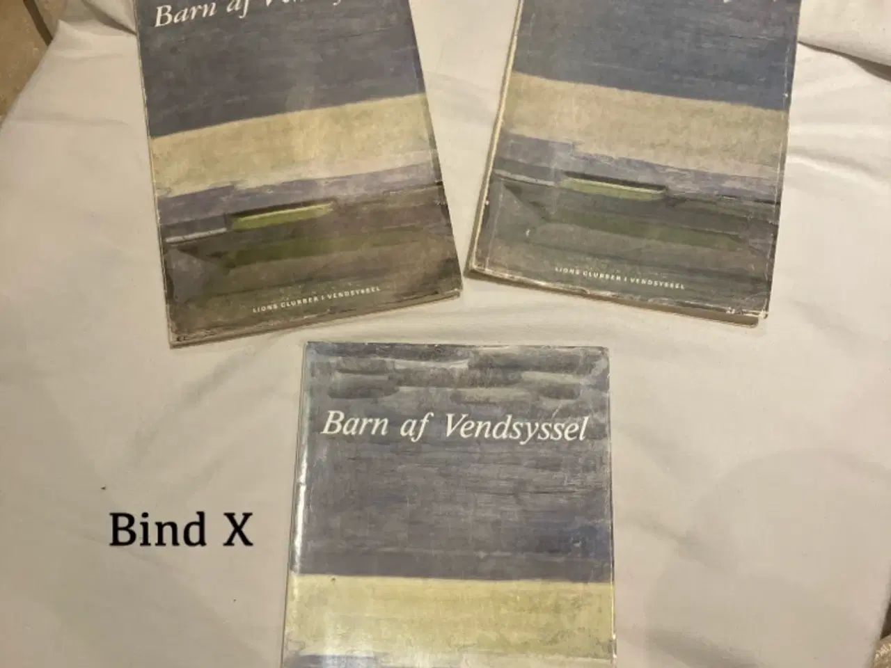 Billede 1 - Barn af Vendsyssel 
