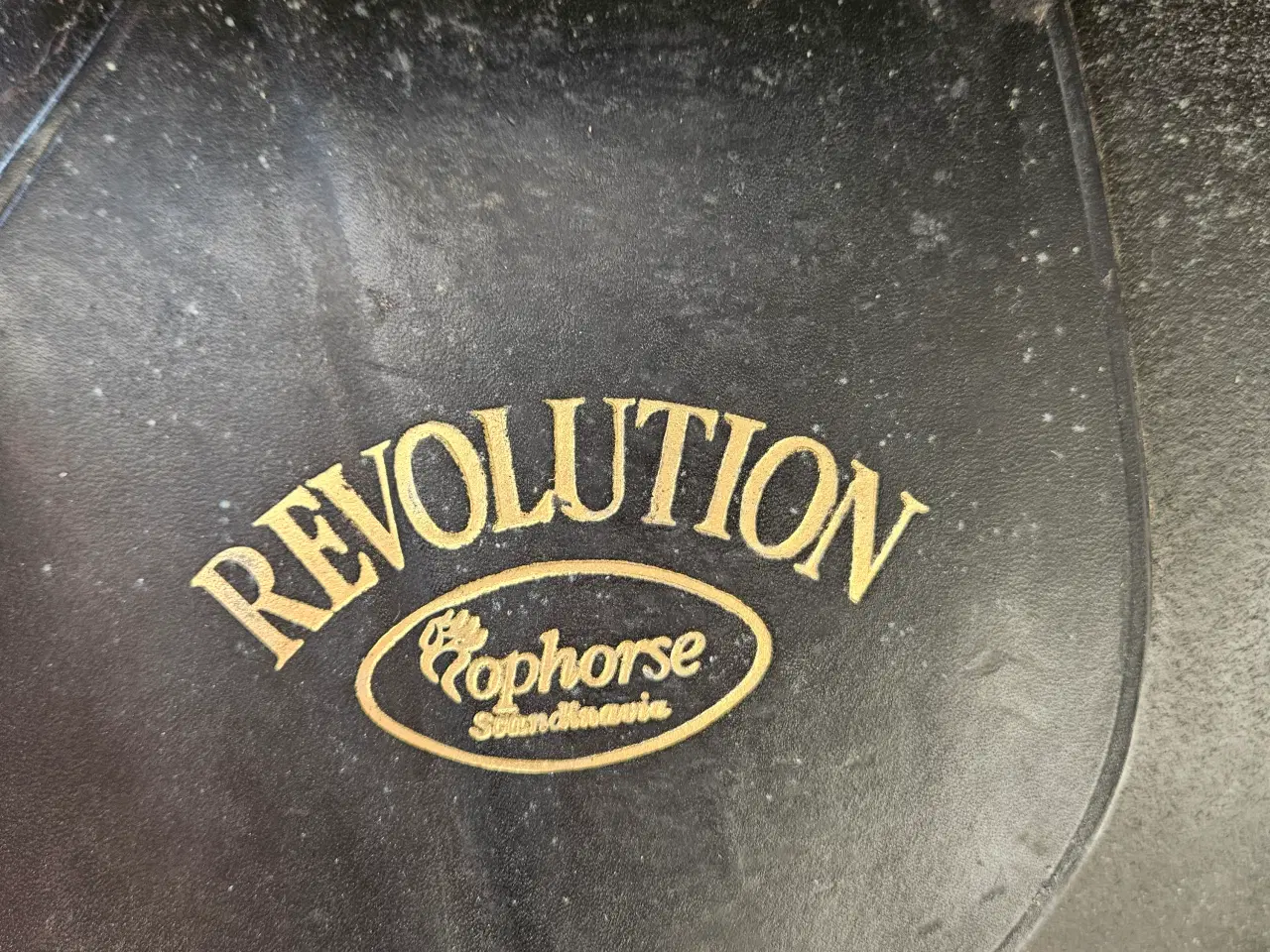 Billede 7 - Sadle byd