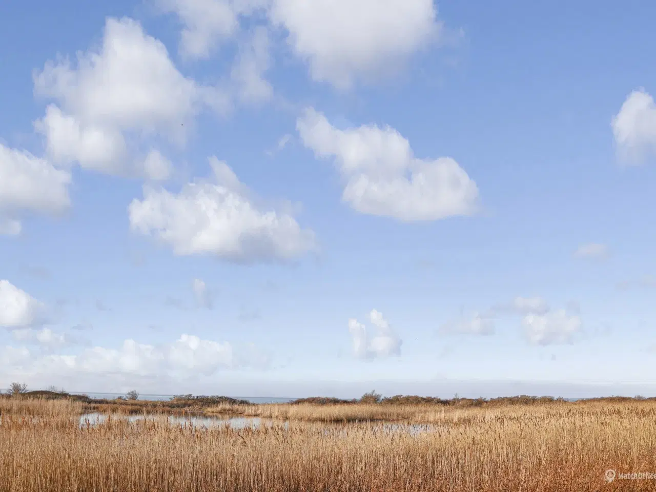 Billede 28 - Stort højloftet lagerlokale på Amager i et råt industrielt look