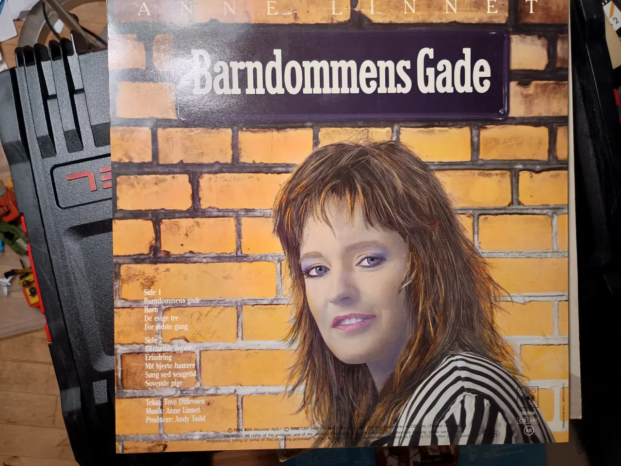 Billede 2 - Anne Linnet, Barndommens Gade.