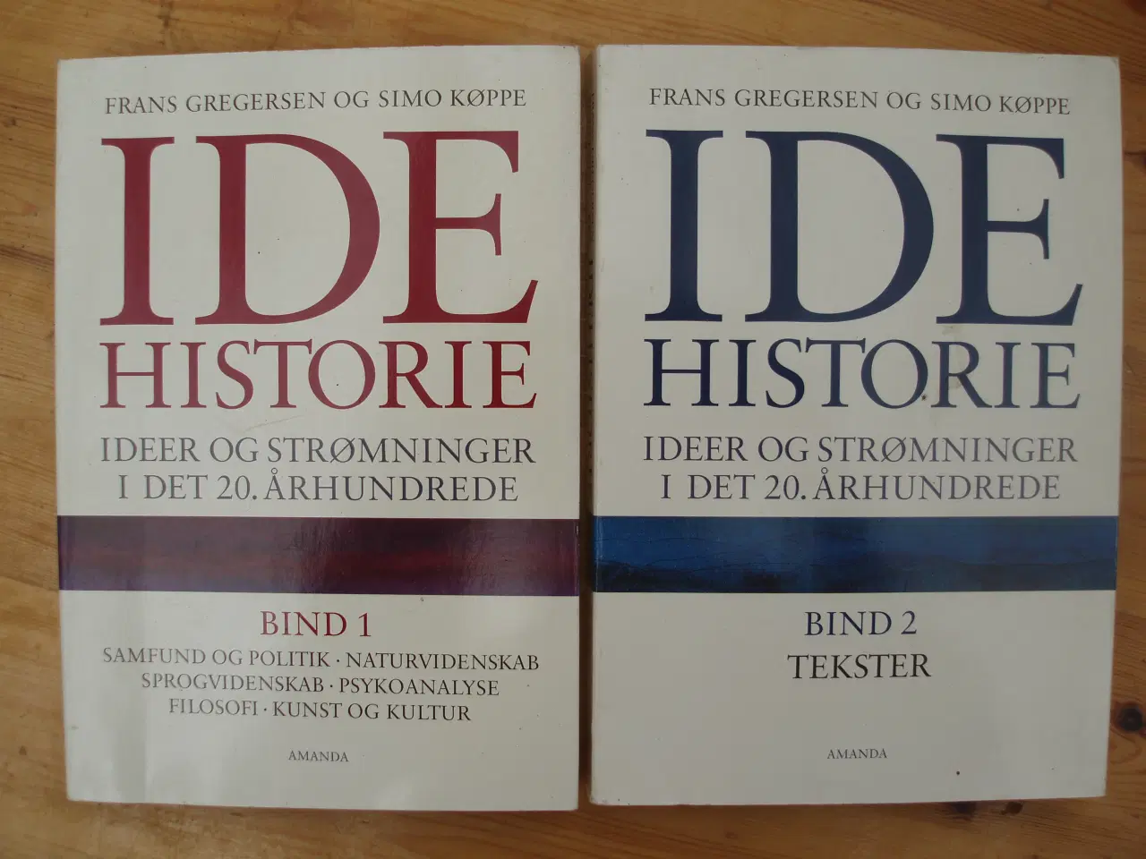 Billede 1 - IDE historie, ideer og strømninger i det 20.århund