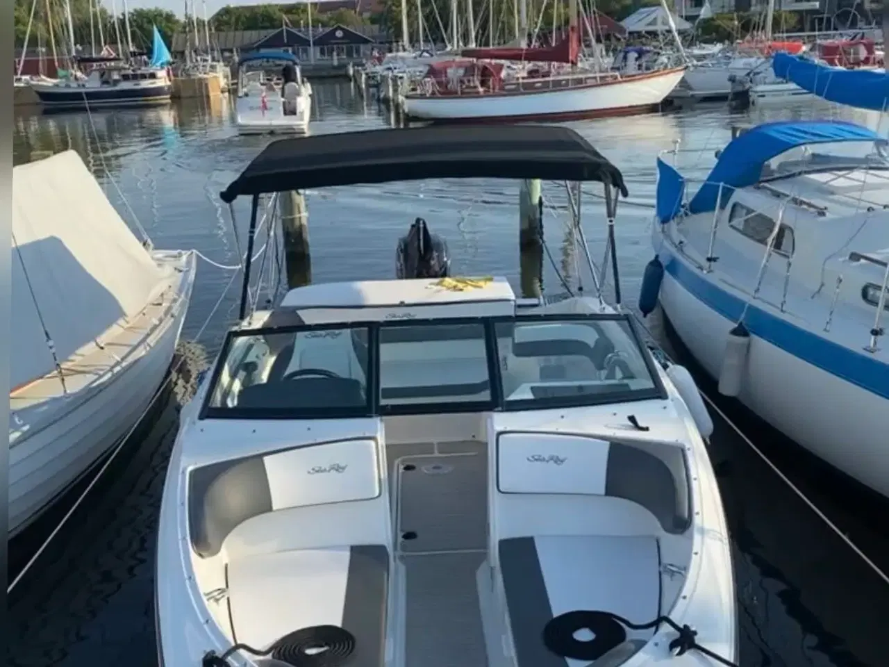 Billede 2 - Sea Ray 190 SPX OB med 150 hk Mercury