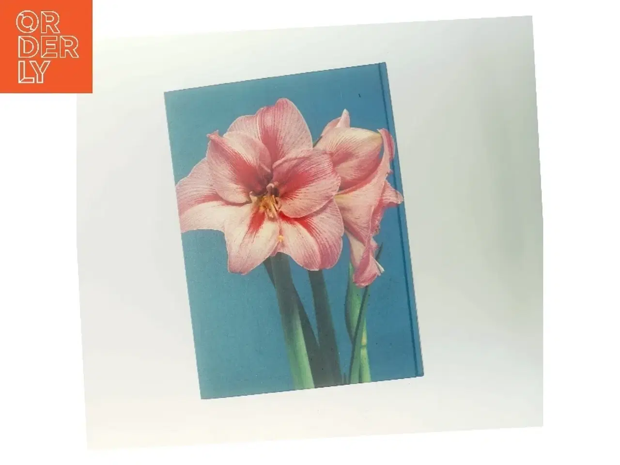 Billede 3 - Blomsterløg og frø (Bog)