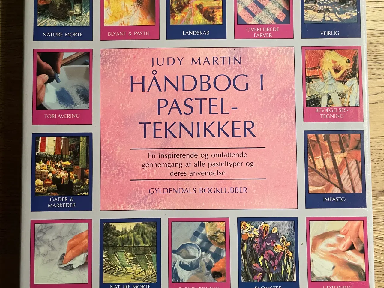 Billede 1 - Håndbog i Pastelteknikker, Judy Martn