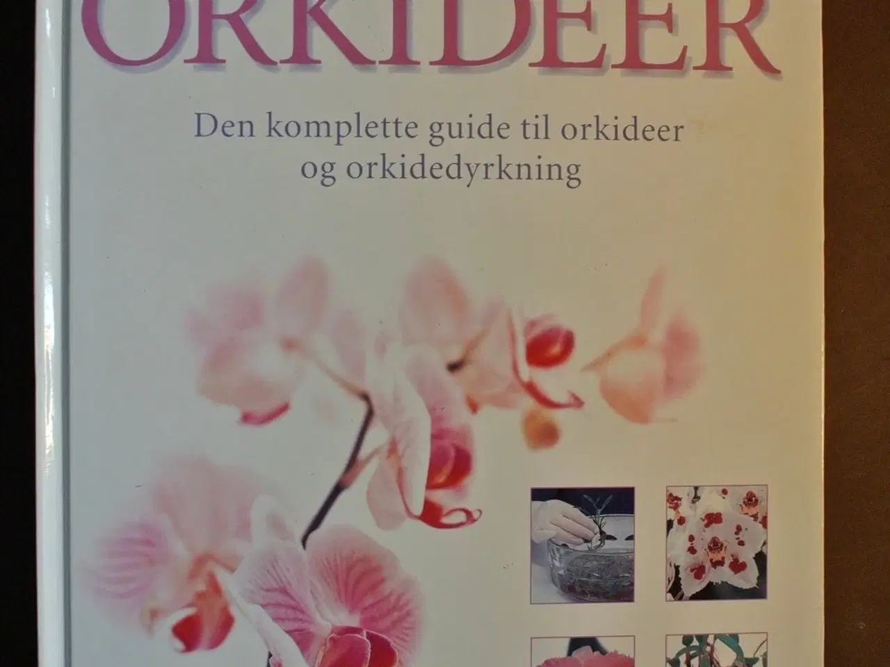 Billede 1 - aschehougs store bog om orkideer - den komplette g