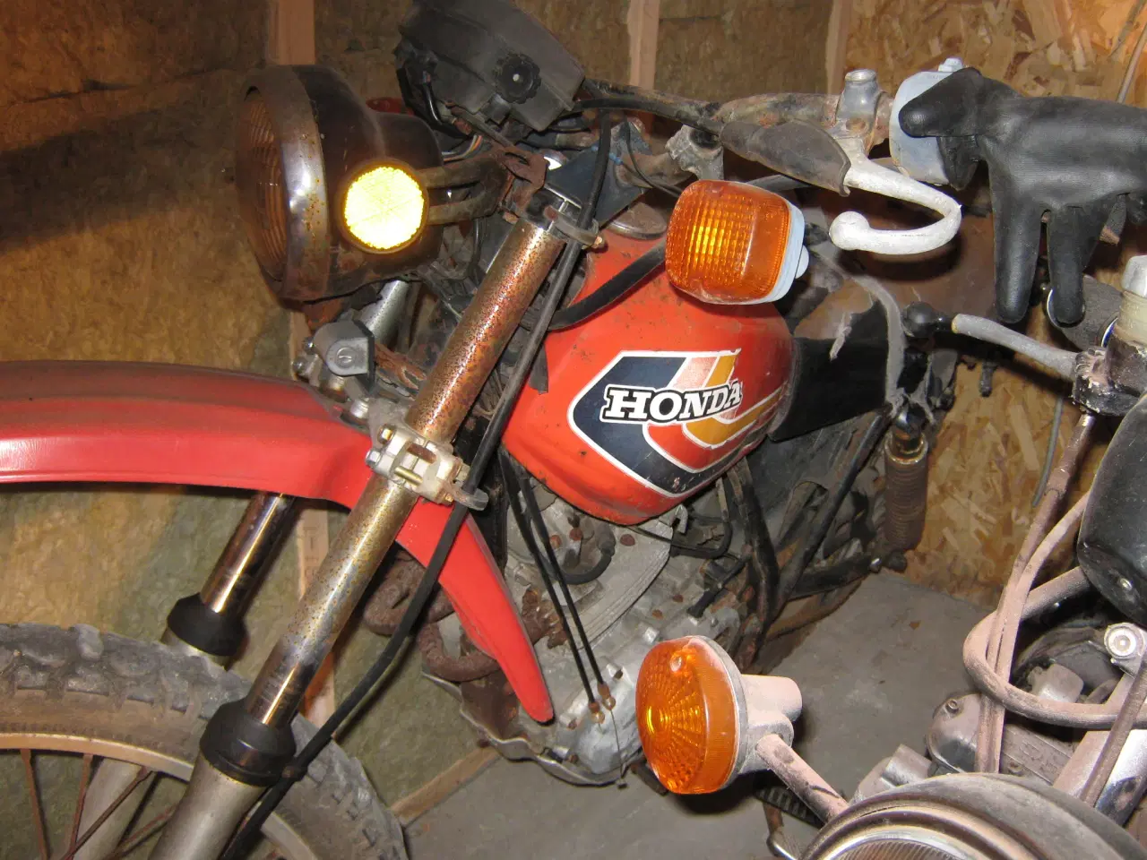 Billede 1 - citroen cactus købes