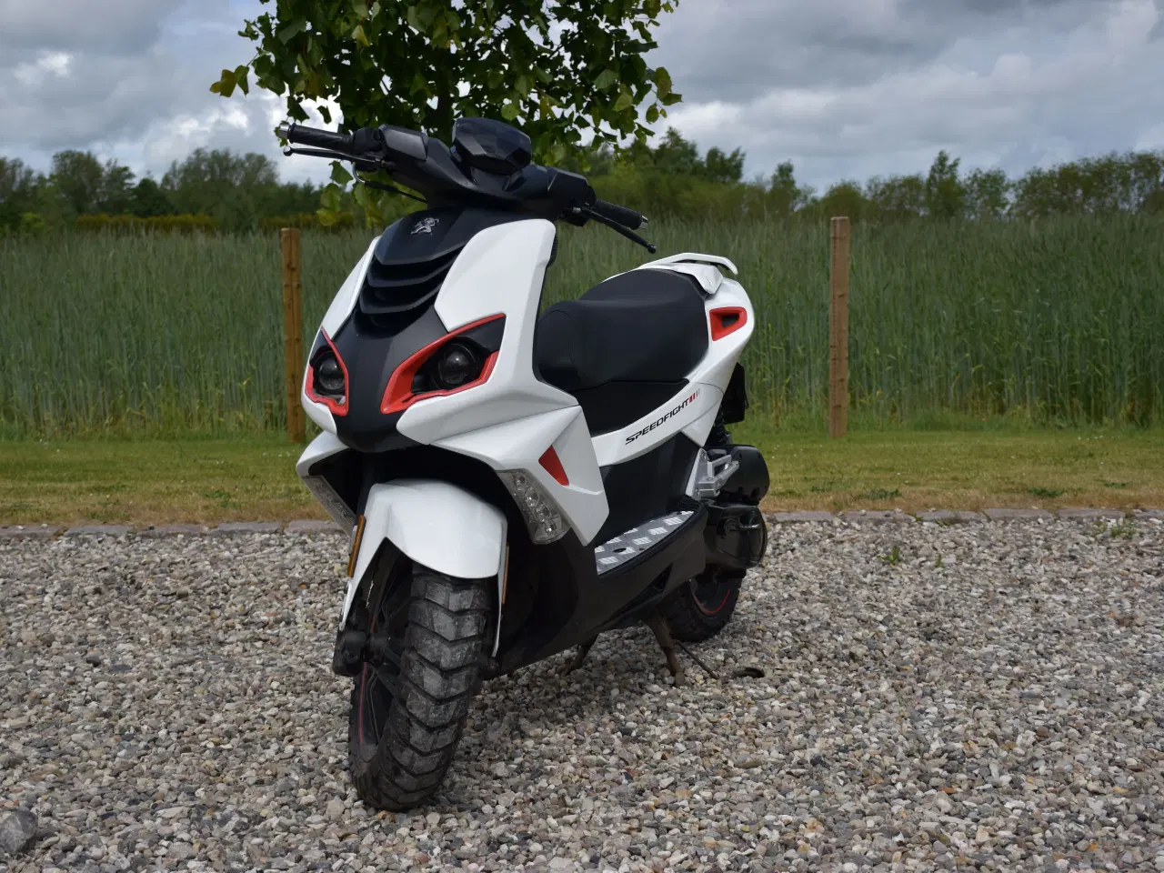 Billede 4 - PEUGEOT SPEEDFIGHT 3