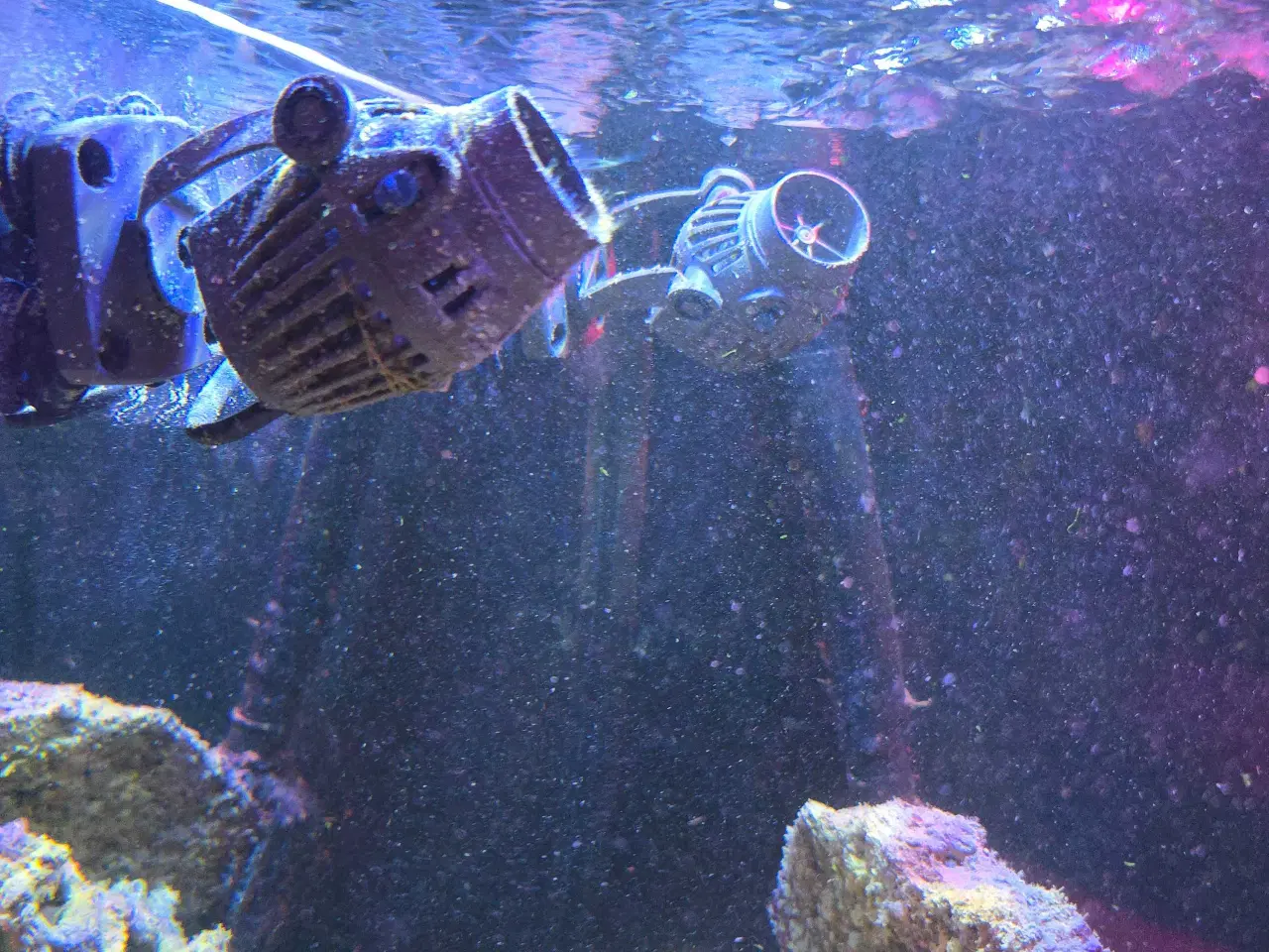 Billede 5 - 450l saltvands akvarium