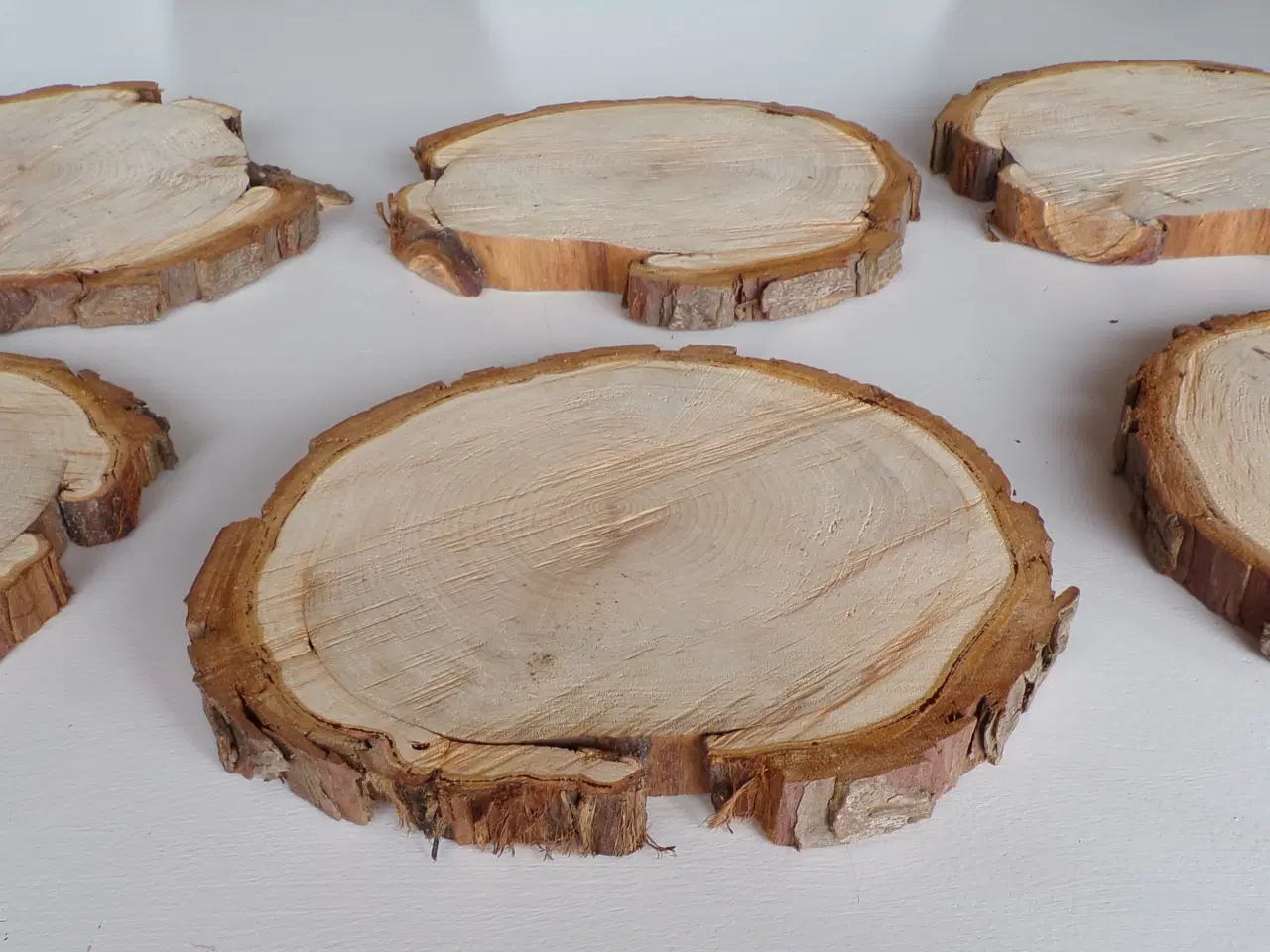Billede 2 - Thuja træskiver 22 - 23 cm