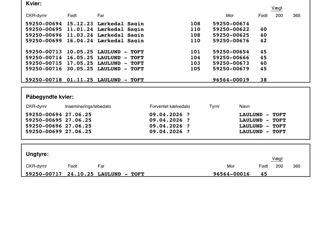 Billede 6 - Hereford køer, kvier og kalve